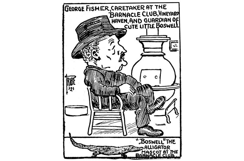The club was celebrated in this 1921 New Bedford Times cartoon by Reginald Tribe.