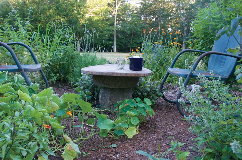 Catherine’s Favorite (Most Used) Herbs: Borage (edible flowers), Calendula (edible flowers), Mint, Oregano, Parsley, Chives, Lemon verbena, Cilantro, Thyme, and Basil.