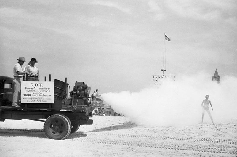DDT spraying to control mosquitoes at Jones Beach State Park on Long Island in 1945.