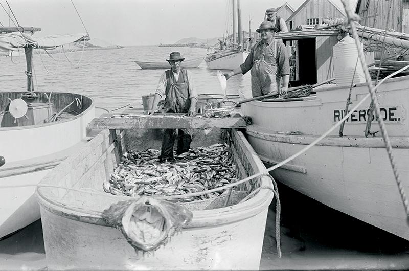 Daniel Cleveland Look (right, aboard Riverside) displays a fresh catch in Menemsha Harbor.
