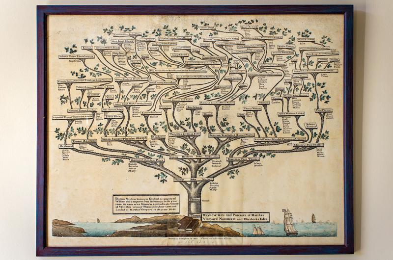 The Mayhew family tree.