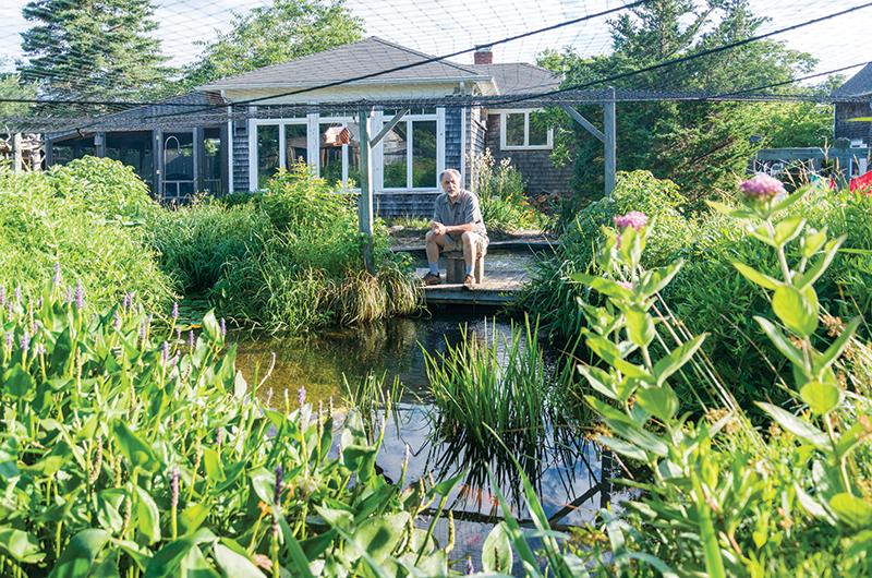 Since installing water habitats and cover, Chase has recorded more than twenty-three bird species breeding on his half-acre property near the center of Oak Bluffs.