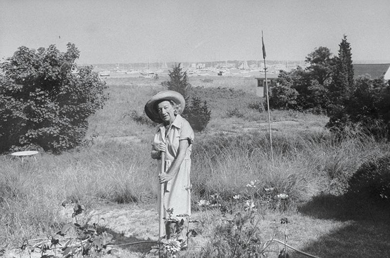 Hellman was photographed in her Vineyard Haven garden by Alfred Eisenstaedt for People magazine in 1975.