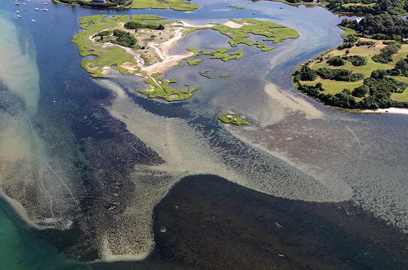 Edy’s Island’s jigsaw-like coastline occupies a quiet corner of Menemsha Pond near the Coast Guard station.
