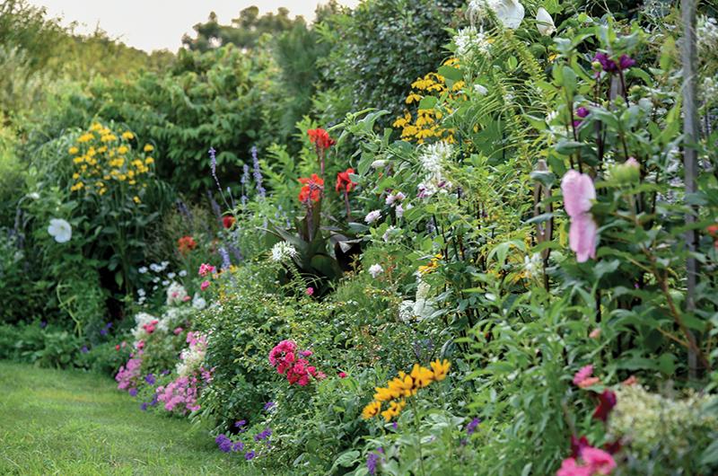 Perennials of various height, texture, and color commingle with select annuals in the 100-foot-plus border garden.