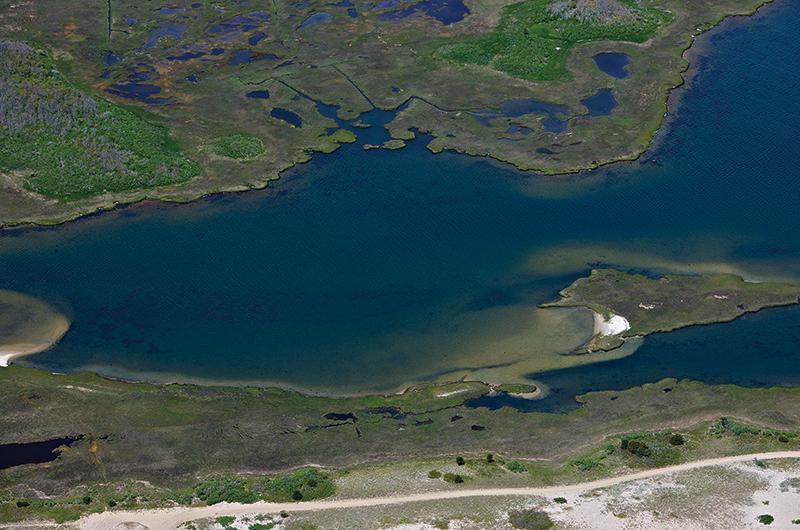 The fragile coastline near Pocha Pond on Chappaquiddick.
