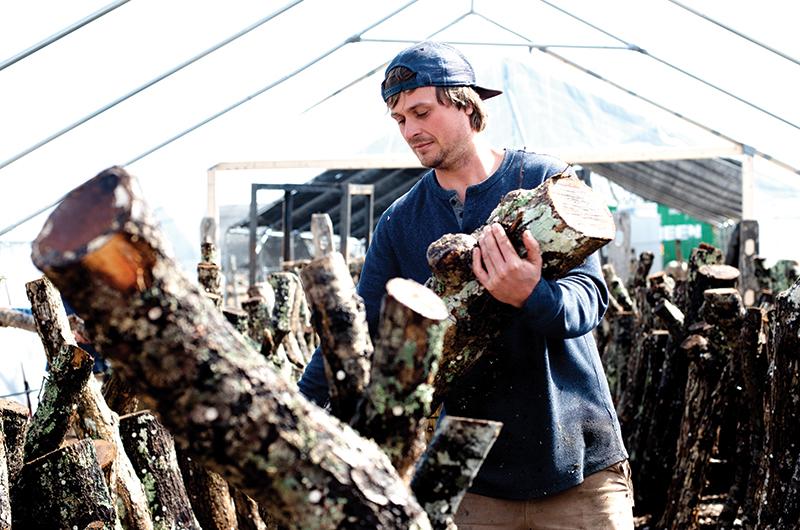 Truman French arranging logs in one of the company’s shade tents.