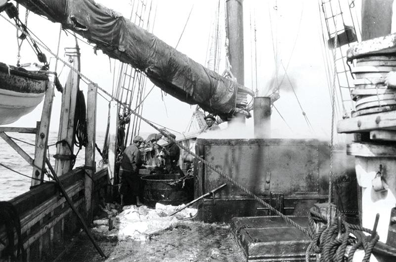 Ship tryworks were used to boil down blubber into valuable whale oil.
