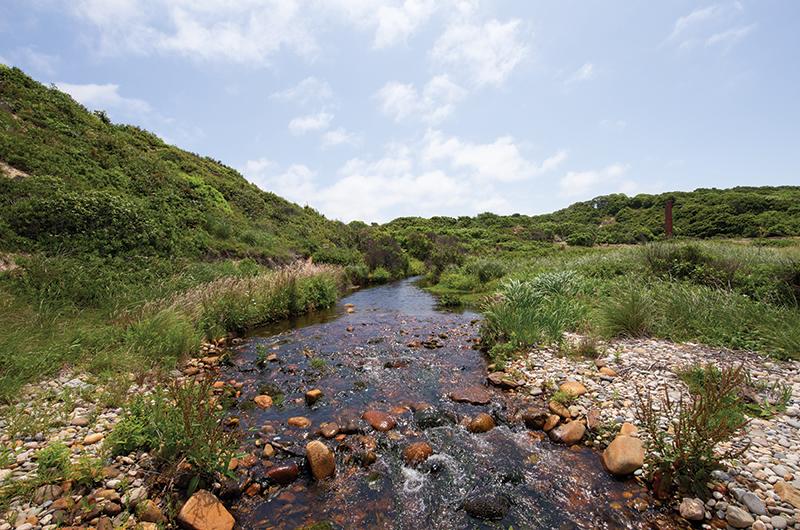 Water from Roaring Brook once turned the wheel, the remains of which are in the image below, that powered the brick-making operations.