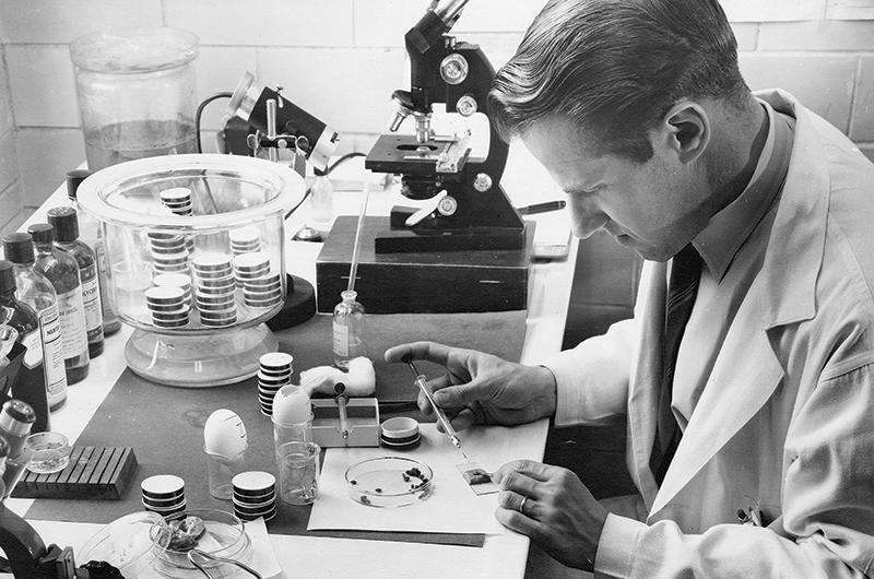Burgdorfer working with ticks in 1954.