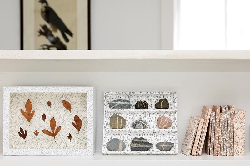 Leaf specimens, marked stones, small library (watercolor, ink, paper, wood).