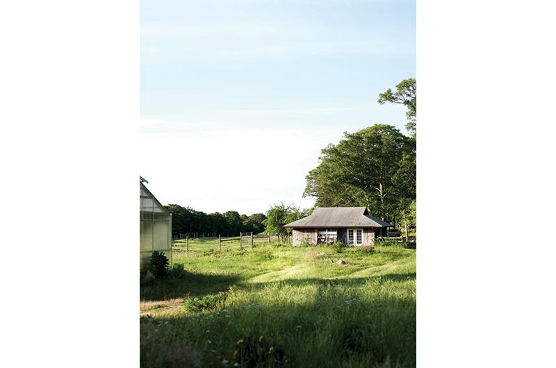 The greenhouse, farm stand, and fields, which extend from Edgartown–Vineyard Haven Road to the Lagoon.