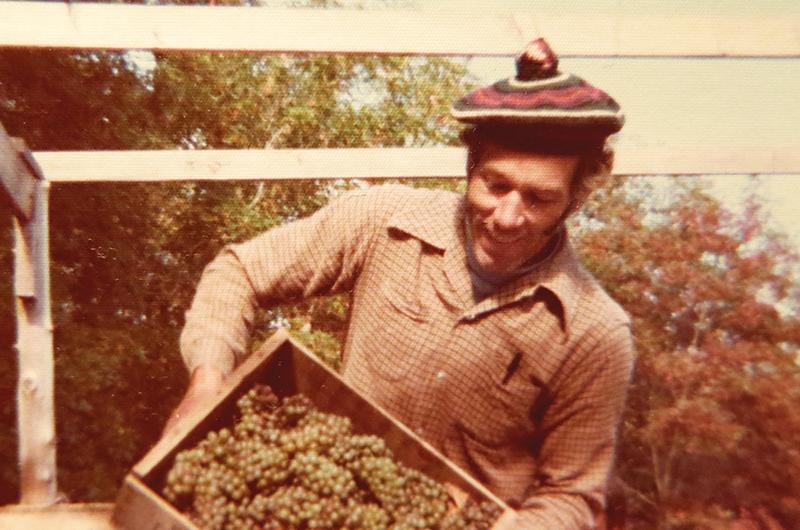 Norton grape farming in 1976.