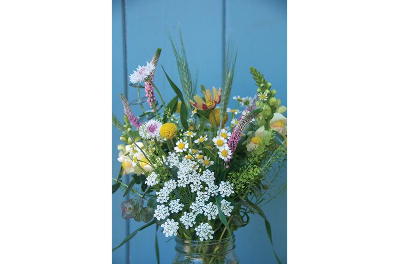 Bachelor’s buttons, cosmos, and snapdragons round out a mixed bouquet.