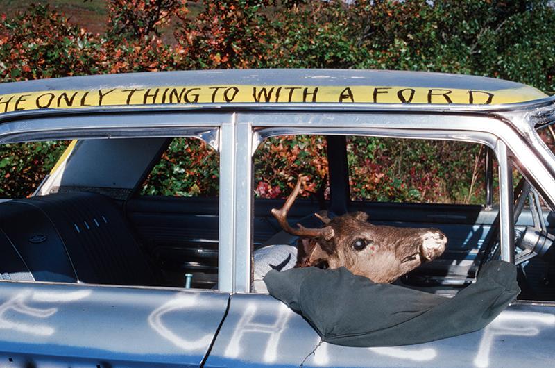 Kenny Belain Jr.’s deer friend, Buck, rides shotgun
