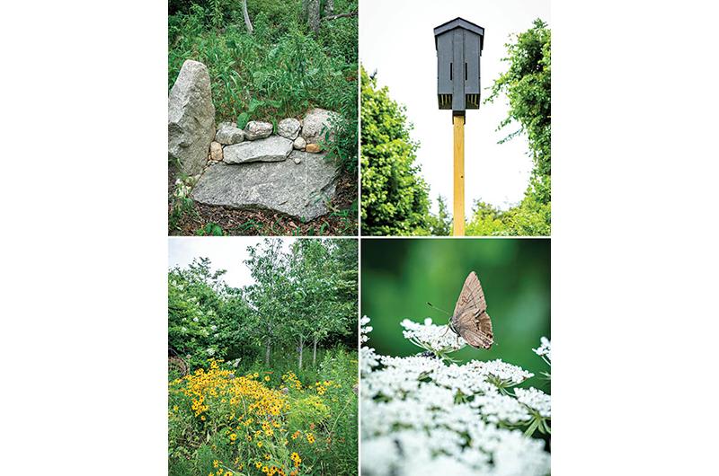Clockwise from top left: A snake hibernaculum; a multi-chambered bat house; Queen Anne’s Lace hosts a local moth; an example of vegetated structure with perennials in front, shrubs in back.