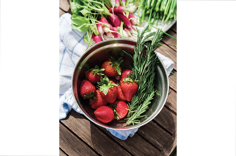 Fresh produce from Morning Glory Farm.