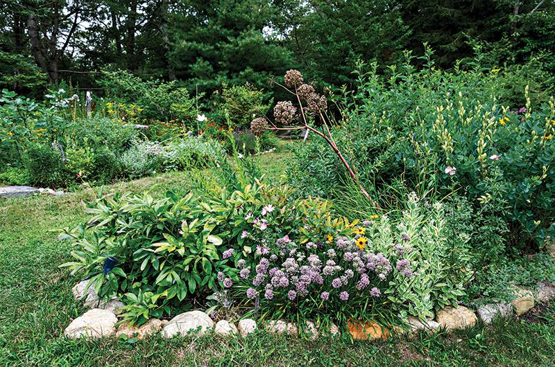 A Vineyard Haven garden utilizes smaller lawn paths amid native perennial beds to promote a wildlife-friendly habitat.