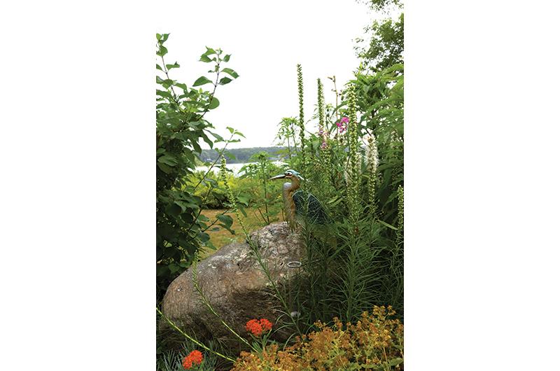 Blazing star stands out from the shrubs with tall, blade-like foliage.
