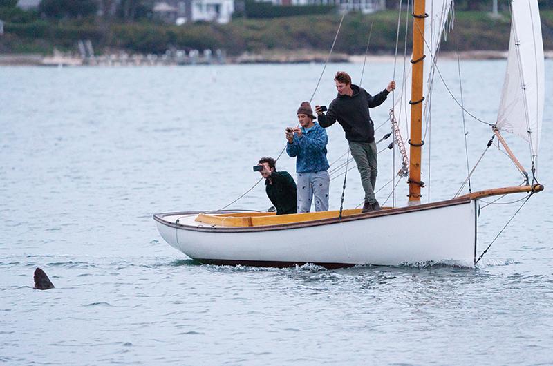 Gawkers set sail to get a closer look at a stranded porbeagle shark in Vineyard Haven Harbor last November.