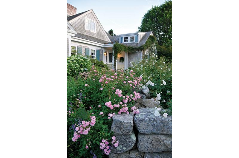 Roses tumble in profusion over lichen-covered stone walls built by stonemason and poet John Maloney.