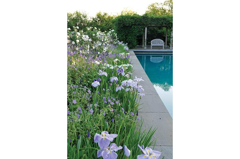 Pool plantings include Siberian iris, ‘White Dawn’ roses, and ‘Brookside’ perennial geraniums.