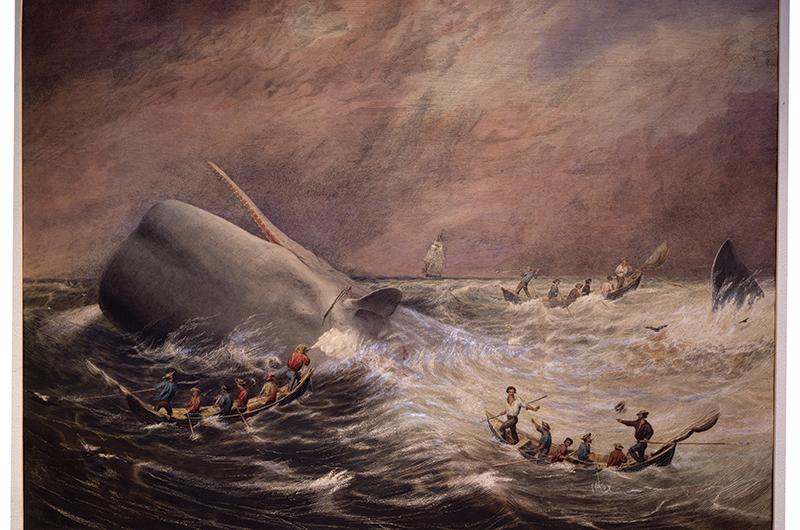 Lasting an average of three to four years, whaling voyages were infamously grueling, featuring poor pay and harsh conditions. Still, many formerly enslaved people found whaling preferable to a life of bondage. (Robert F. Weir, Taking a Whale / Shooting a Whale with a Shoulder Gun, c. 1855–1866.)