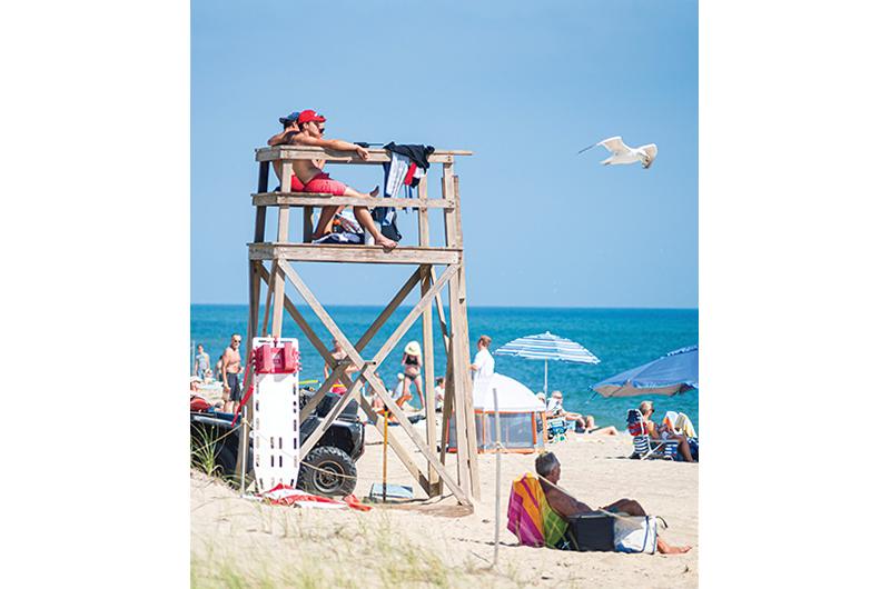 Shark monitoring now makes the list of official lifeguard duties for workers at South Beach.