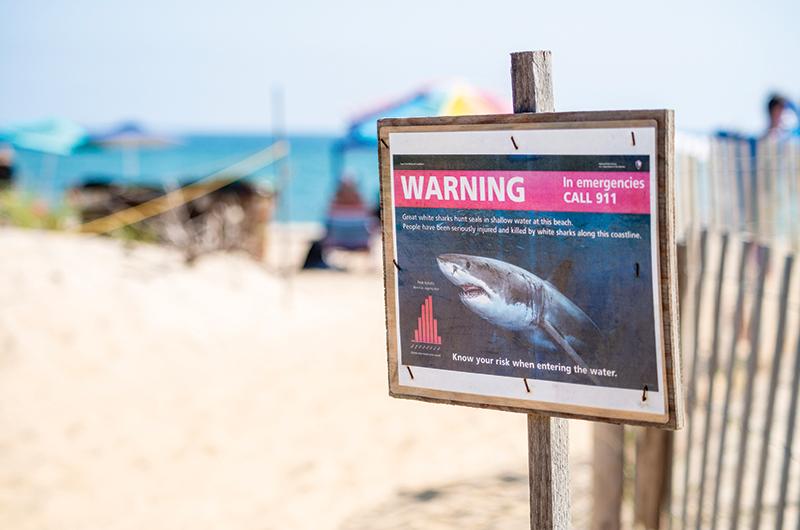 Signs at the beach last summer urged caution.